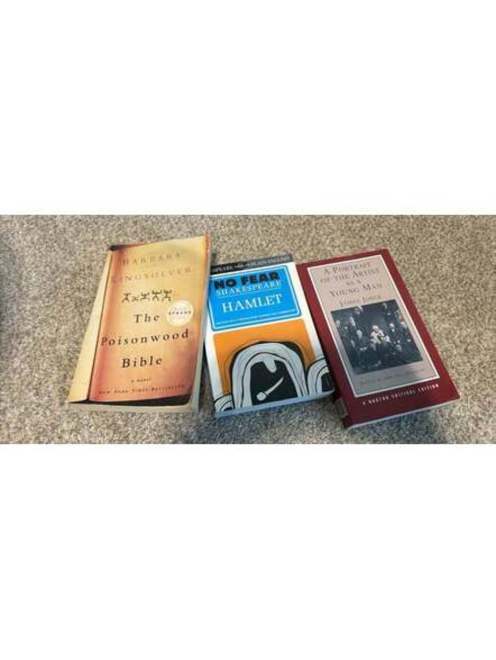Poisonwood Bible, Hamlet, and Portrait of the Artist Book Bundle
